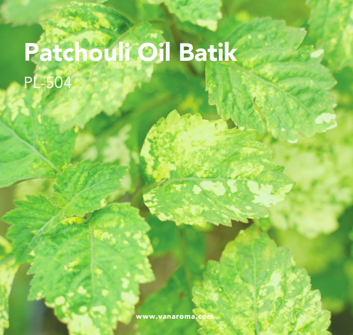 Patchouli Oil Batik (PL-504) Van Aroma